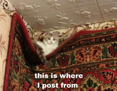 this is where post from