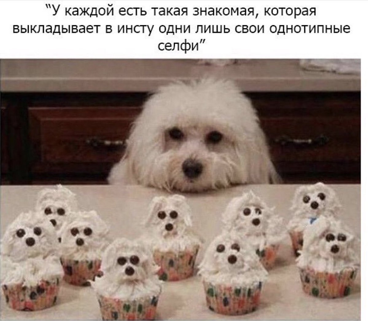 “У каждой есть такая знакомая, которая выкладывает в инсту одни лишь свои однотипные селфи”
