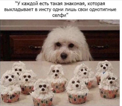 “У каждой есть такая знакомая, которая выкладывает в инсту одни лишь свои однотипные селфи”