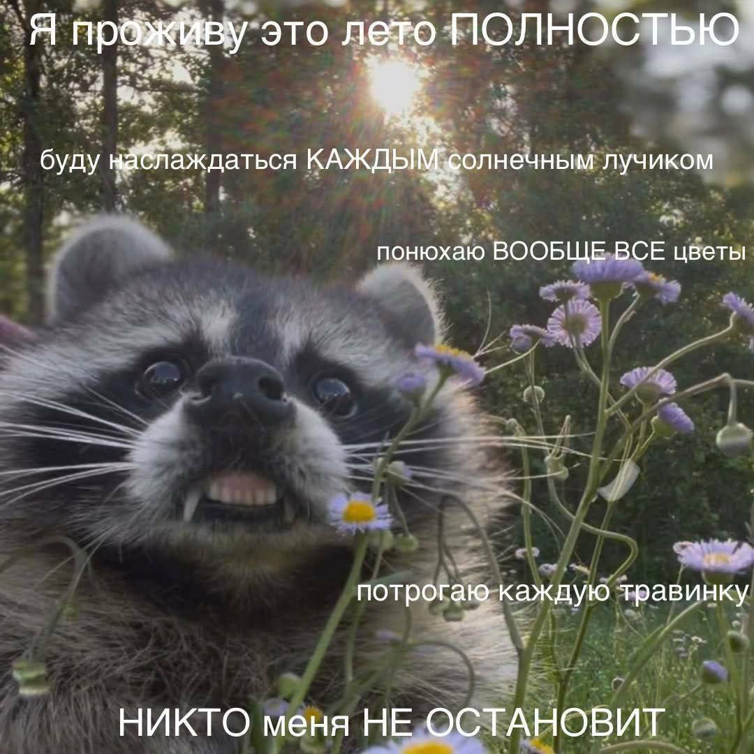 Я это лето ПОЛНОСТЬЮ буду лучиком понюхаю ВООБЩЕ ВСЕ цветы потрогаю каждую травинку НИКТО меня НЕ ОСТАНОВИТ