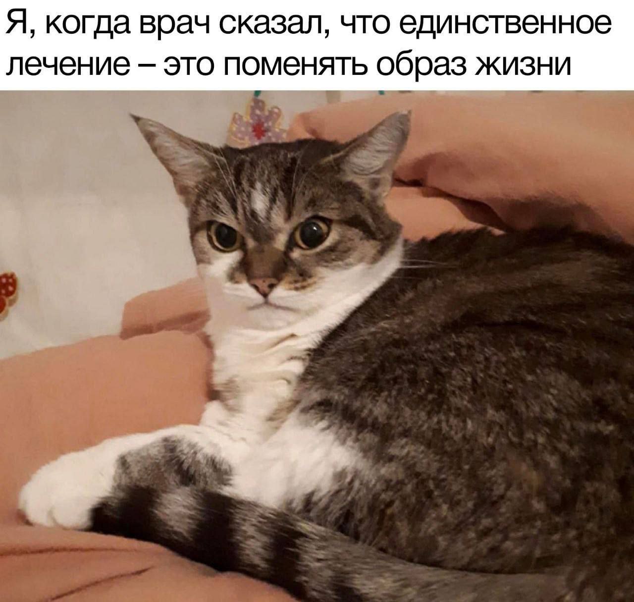 Я, когда врач сказал, что единственное лечение это поменять образ жизни