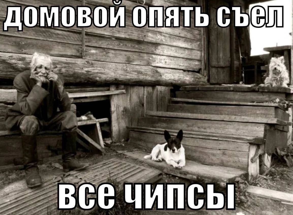 Домовой ОПЯТЬ a Bory 2 BCE ЧИПСЫ