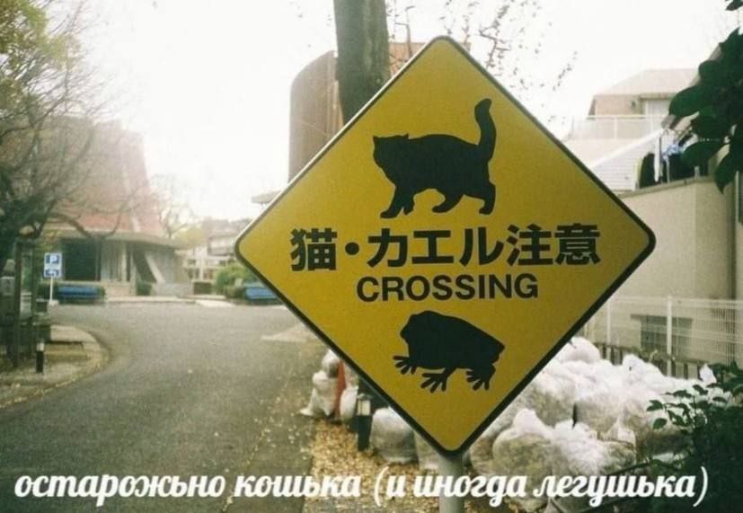 остарожьно (и иногда легушька)