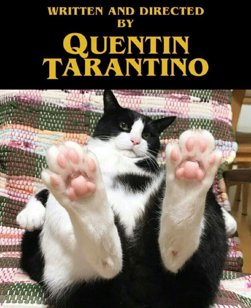 WRITTEN AND DIKECTED QUENTIN TAKANTINO Gig ‘1 wee Я 4:3 4