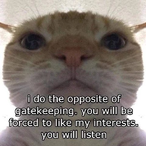 i the opposite of gatekeeping. you will be forced to like my interests you will listen