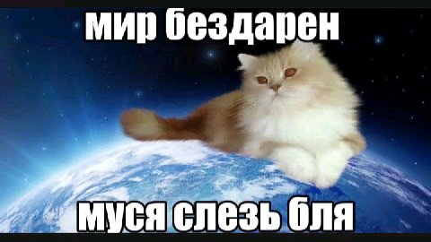 мир бездарен Che 3 бля