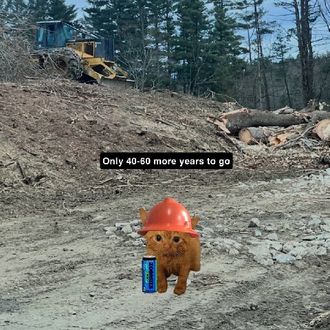 Only 40-60 more years to