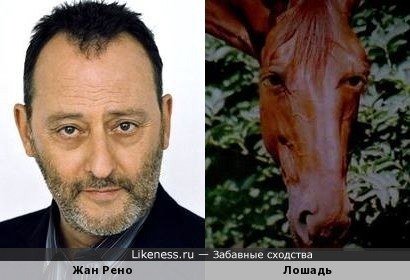 и or Likeness.ru Забавные сходства Жан Рено Лошадь