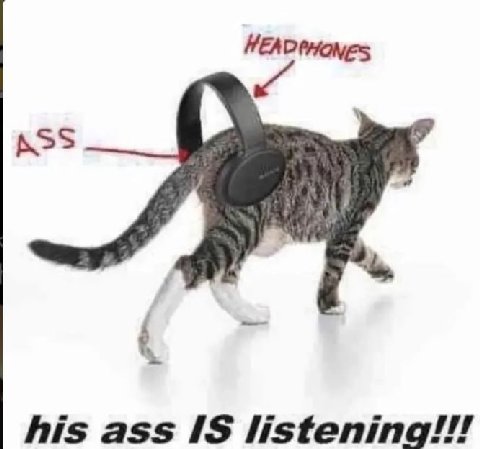 HEADPHONES ASS his ass listening!!!