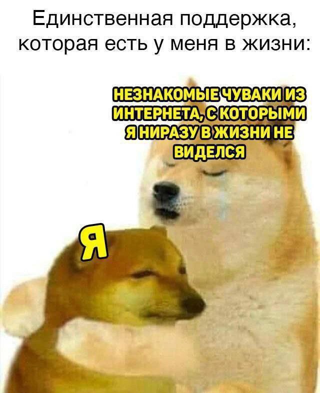 Единственная поддержка, которая есть у меня в жизни: НЕЗНАКОМЫЕЧУВАКИ ИЗ ИНТЕРНЕТА СКОТОРЫМИ [Я НЕ ВИДЕЛСЯ i