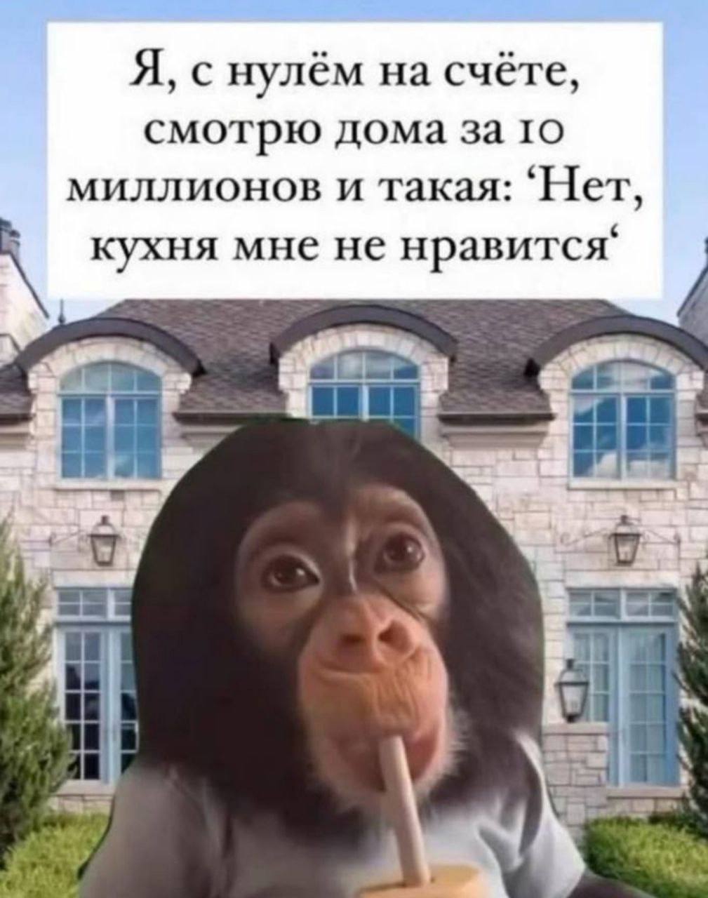 Я, с нулём на счёте, смотрю дома за то миллионов и такая: ‘Her, кухня мне не нравится‘ у