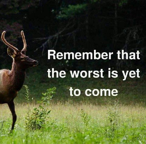 Remember that the worst is yet to come