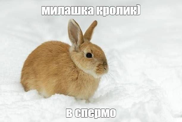 милашкакролиЕ) Bien ; IMO