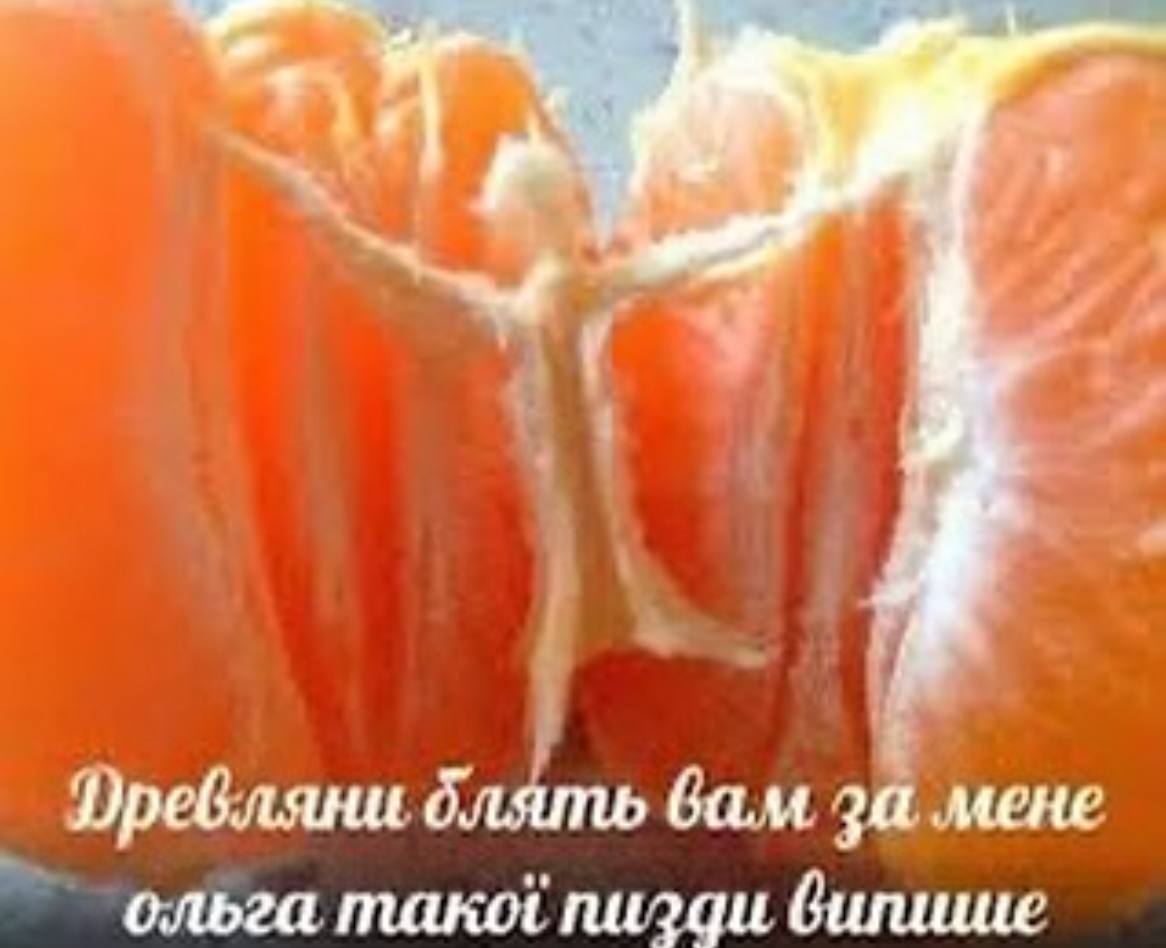 блять вам за MEHE ольга тако пизди
