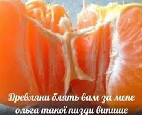 блять вам за MEHE ольга тако пизди