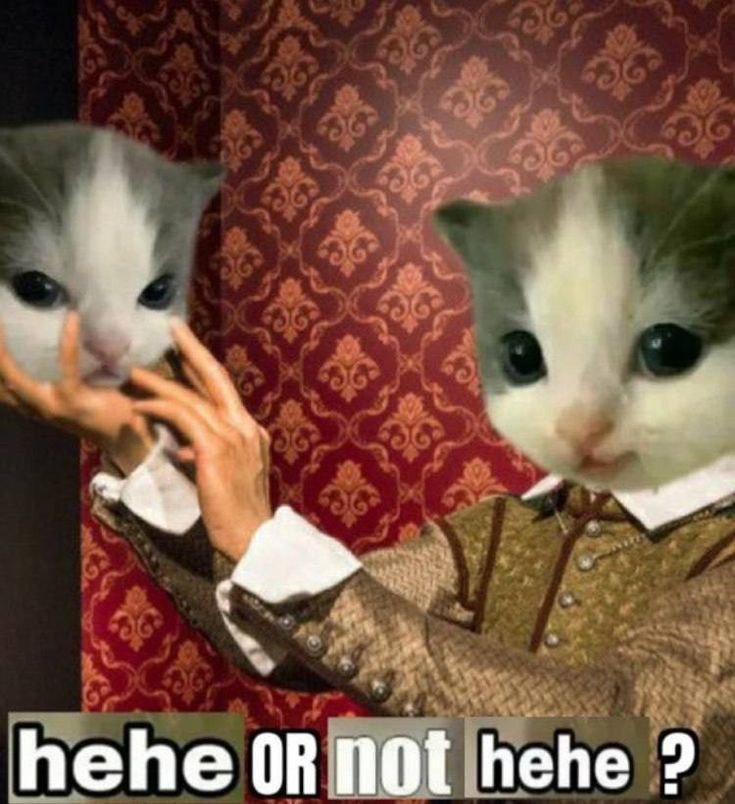 hehe OR not hehe 2