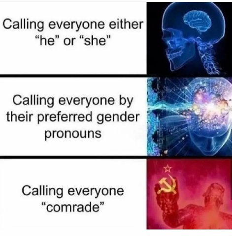 Calling everyone either “he” or “she” Calling everyone their preferred gender pronouns Calling everyone “comrade”