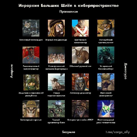Иерархия Больших Шлёп в киберпространстве Прагматизм 2 Классовый чистильщик Верный лев Джихада Британский Полицейский колонизатор протекционист of 4 5 Революционный Клонированный Обычный русский кот У