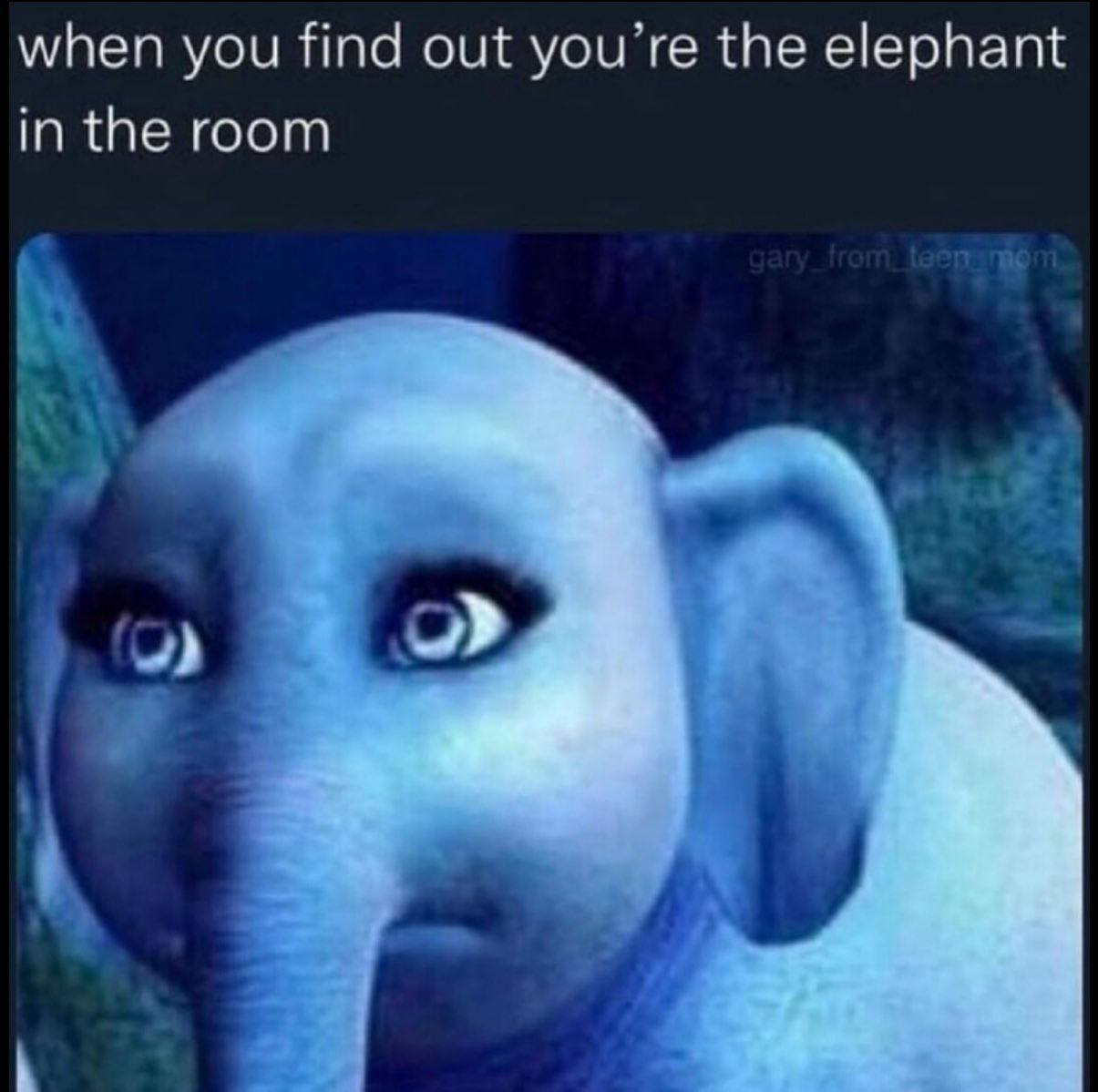when you find out the elephant in the room
