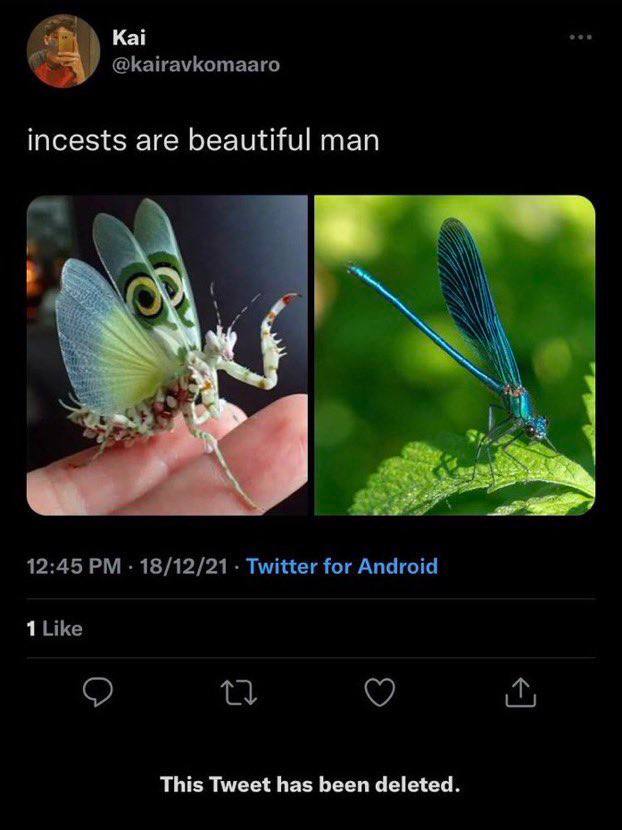 Kai @kairavkomaaro incests are beautiful man 12:45 18/12/21 Twitter for Android 1 Like This Tweet has been deleted.