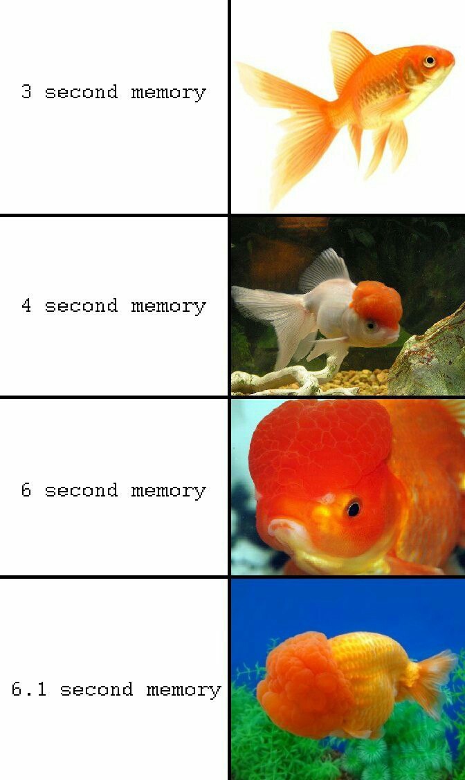 3 second memory УТУ 4 second memory Б second 6.1 second memory