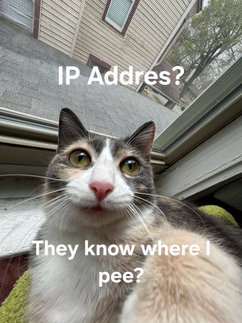hey know whe pee?