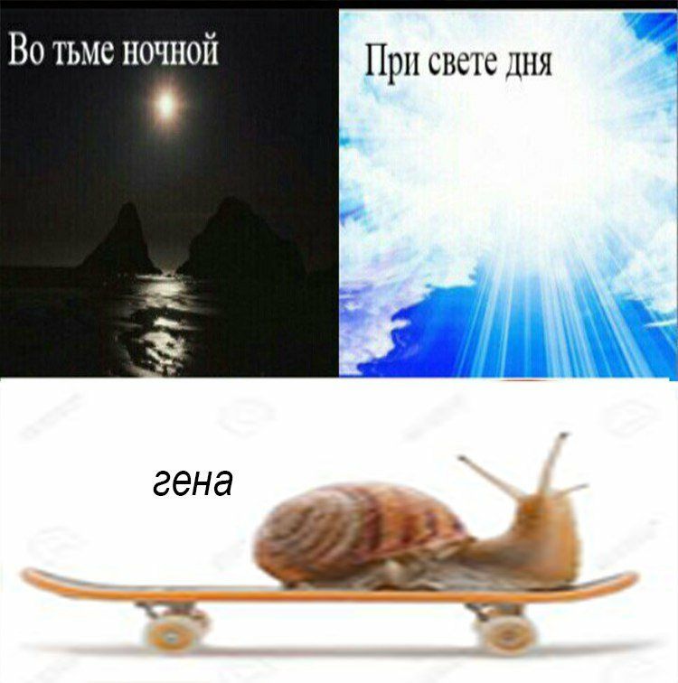 Во тьме ночной При свете дня сена