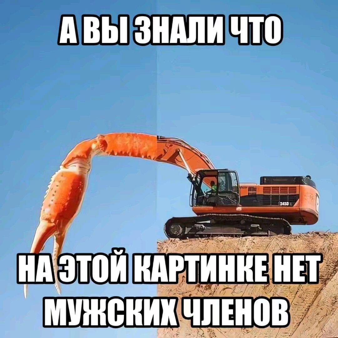 АВЫ ЗНАЛИ ЧТО КАРТИНКЕ НЕТ ЧЛЕНОВ