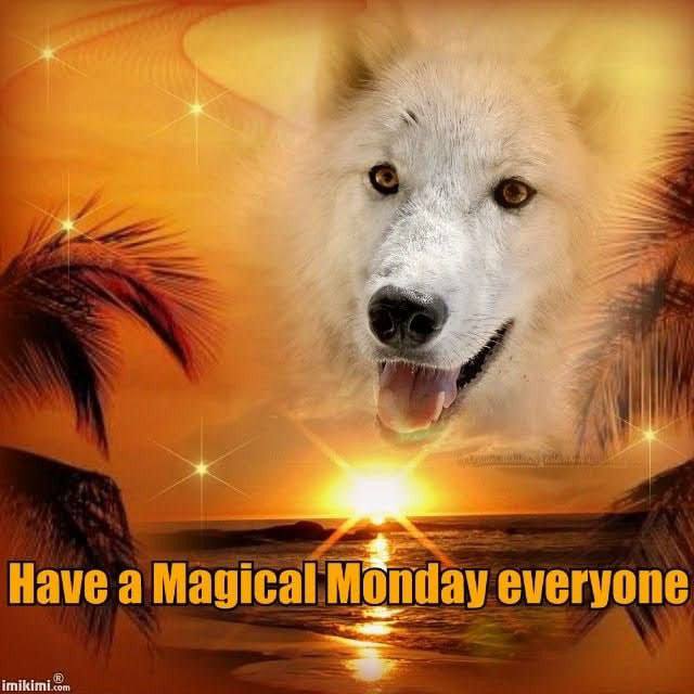 Have a Magical Monday everyone