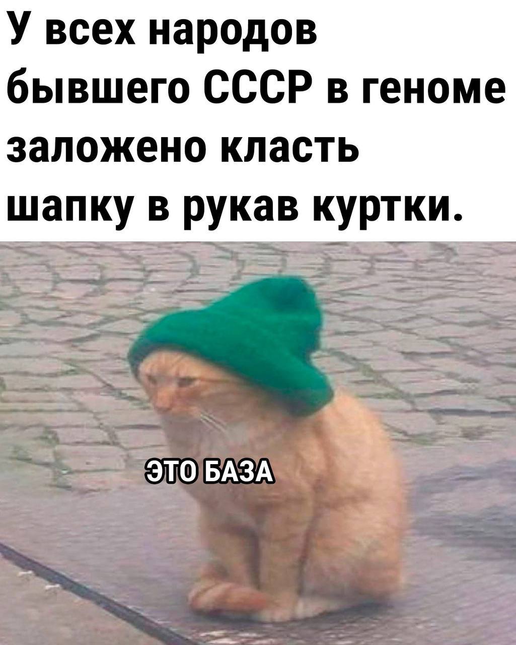 У всех народов бывшего СССР в геноме заложено класть шапку в рукав куртки.