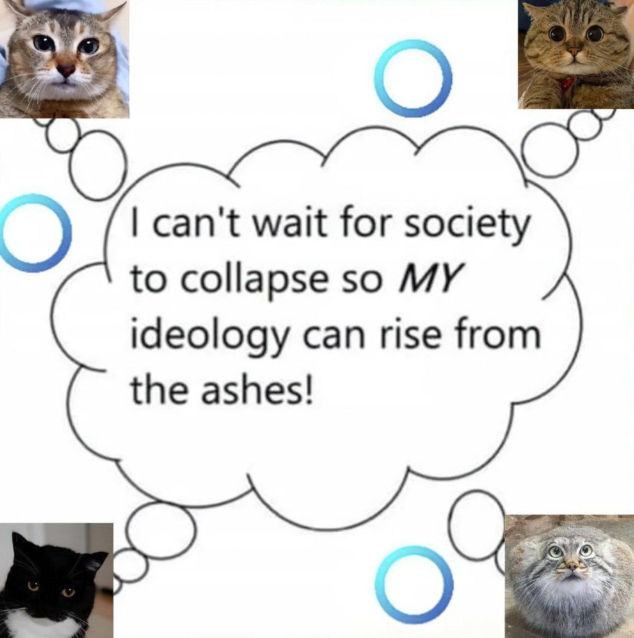 can't wait for society to collapse so MY ideology can rise from the ashes!