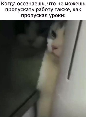 Когда осознаешь, что не можешь пропускать работу также, как пропускал уроки: