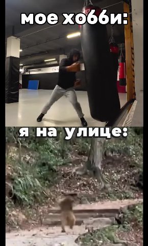 И мусорнусь
