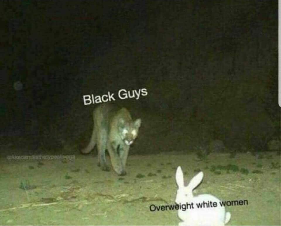 Black GUYS а 4 Overweight white women