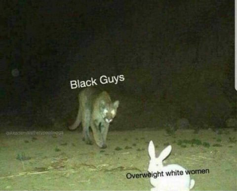 Black GUYS а 4 Overweight white women