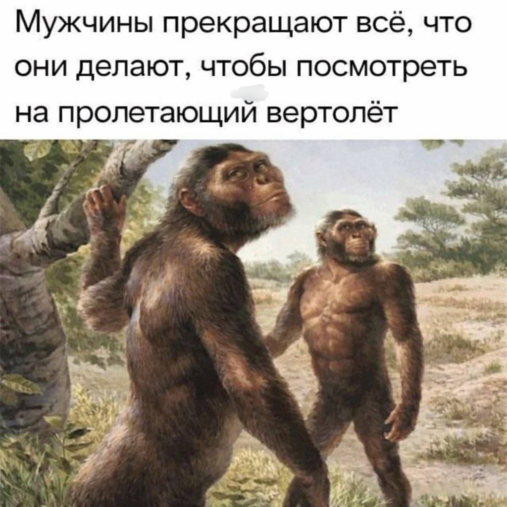 Мужчины прекращают всё, что они делают, чтобы посмотреть на пролетающий вертолёт 2) я тема 33