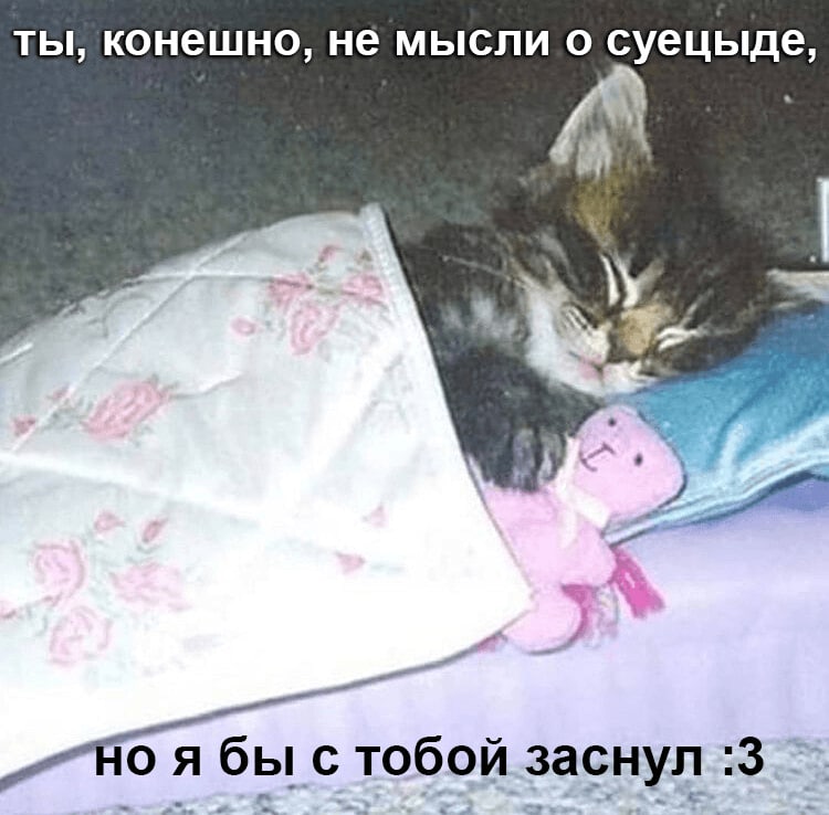 ты, конешно, не мысли о суецыде, бы с тобой заснул