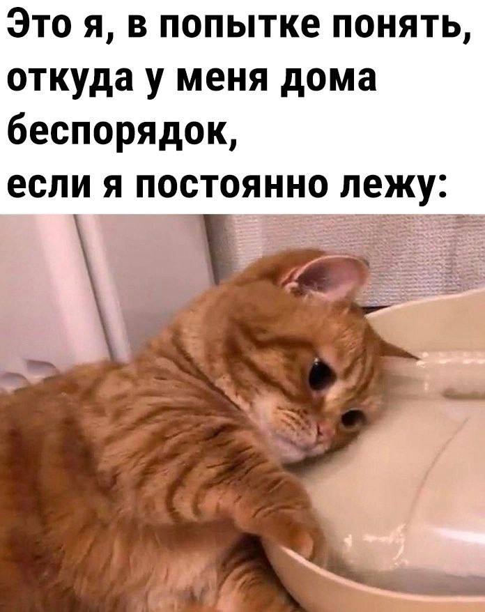 Это я, в попытке понять, откуда у меня дома беспорядок, если я постоянно лежу: i