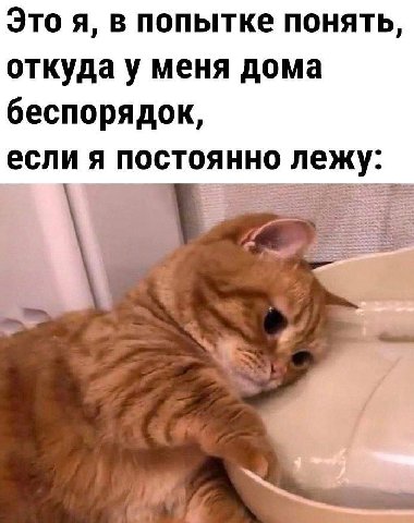 Это я, в попытке понять, откуда у меня дома беспорядок, если я постоянно лежу: i