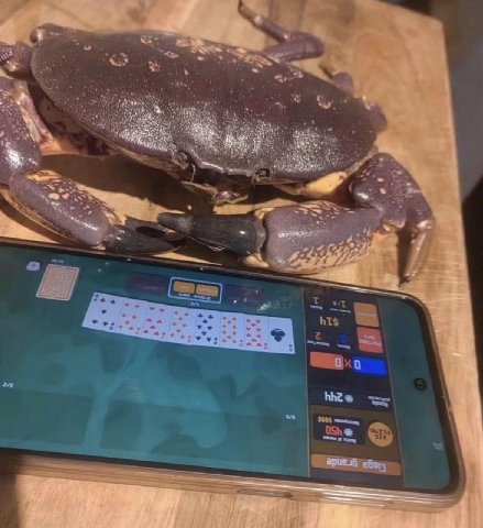 4, ate 2 у hts Oxo $985 OSh