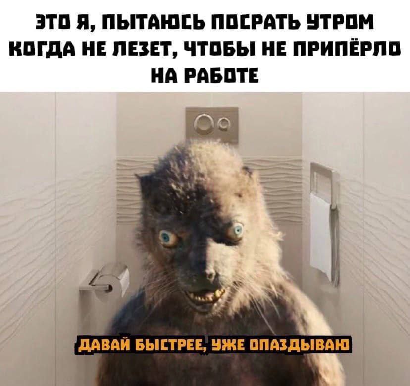 ЭТО Я, ПЫТАЮСЬ ПОСРАТЬ УТРОМ КОГДА НЕ ЛЕЗЕТ, ЧТОБЫ НЕ ПРИПЁРЛО НА РАБОТЕ 4 4 ДАВАЙ БЫСТРЕЕ, УЖЕ ОПАЗДЫВАЮ