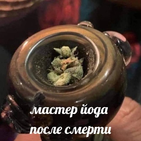 мастер йода после смерти