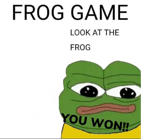 FROG GAME LOOK AT THE FROG