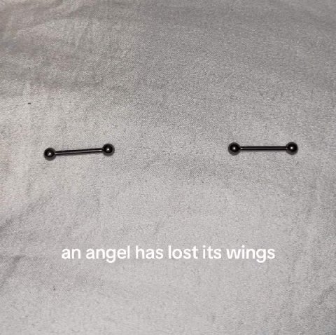 an angel has lost its wings