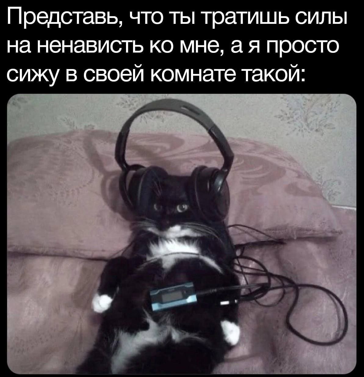 Представь, что ты тратишь силы на ненависть мне, а я просто сижу в своей комнате такой: