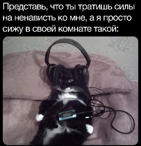 Представь, что ты тратишь силы на ненависть мне, а я просто сижу в своей комнате такой: