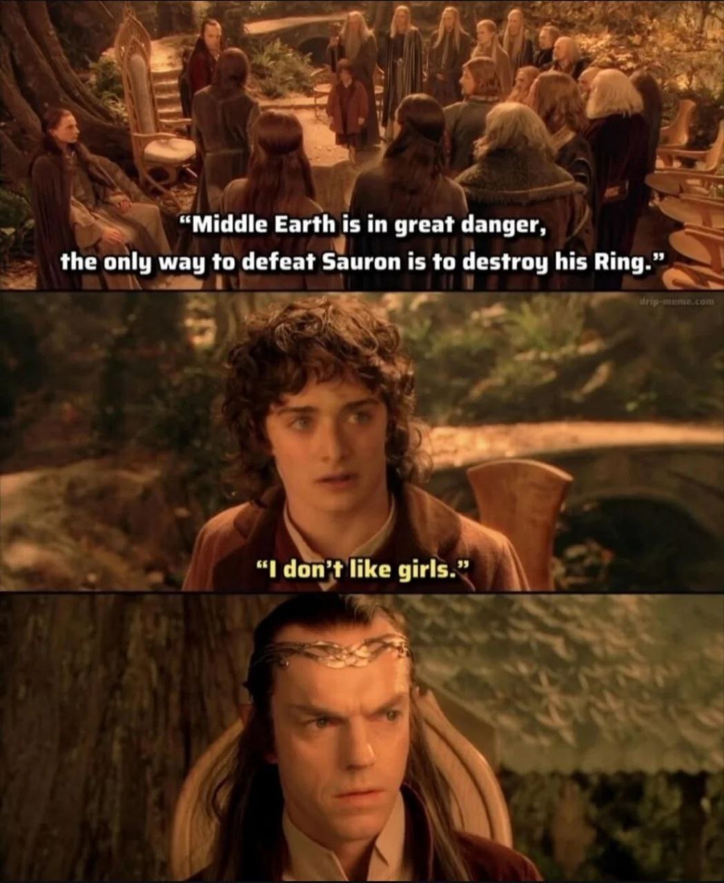 “Middle Earth is in great danger, the only way to defeat Sauron is to destroy his Ring.” 3 don’t like girls.”