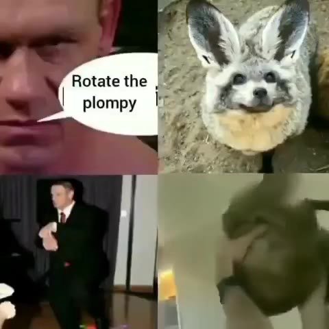 ей > главе АЗИИ