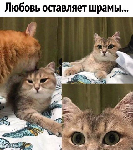 Любовь оставляет шрамы... 4 5