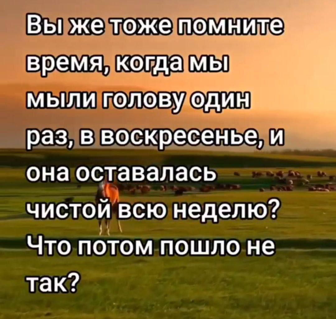 Вы же тоже помните время, когда мы мыли голову один раз, в воскресенье, и она оставалась чистой всю неделю? Что потом пошло не так?